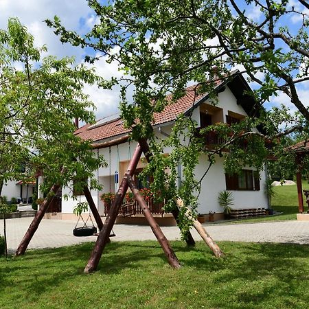 Guesthouse Ante Hodak Селище Дрежницько Екстер'єр фото