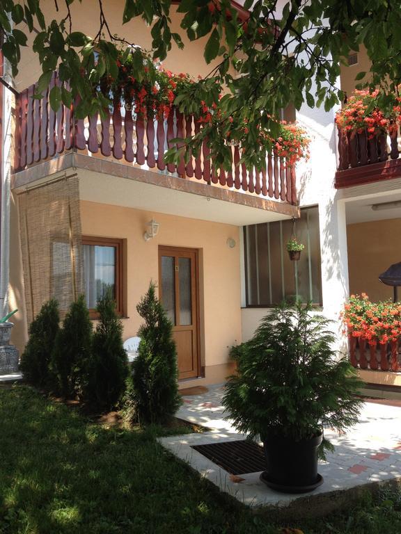 Guesthouse Ante Hodak Селище Дрежницько Екстер'єр фото